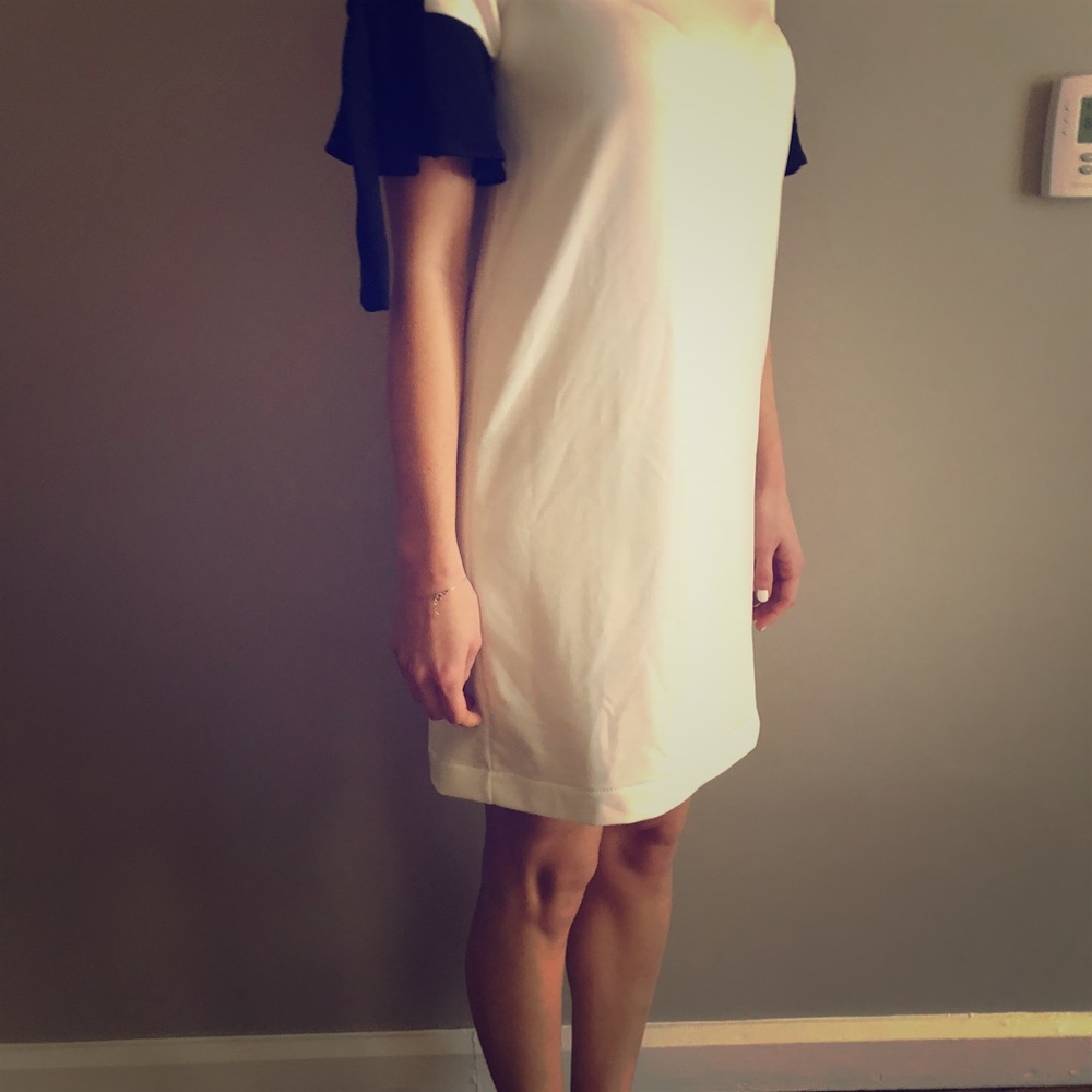 Zara Black and White Dress with Bow Sleeves